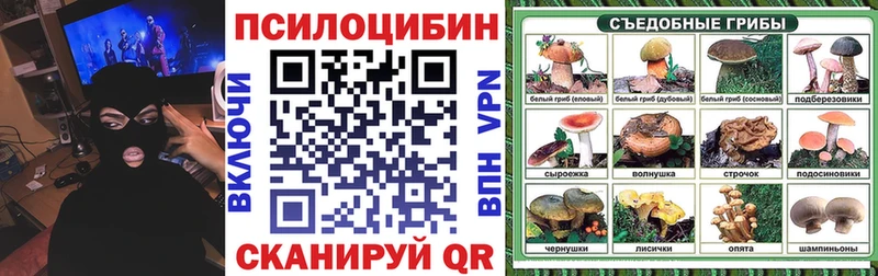 Галлюциногенные грибы Magic Shrooms  купить наркотик  Тамбов 